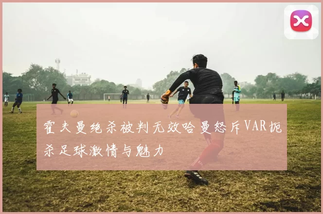 霍夫曼绝杀被判无效哈曼怒斥VAR扼杀足球激情与魅力